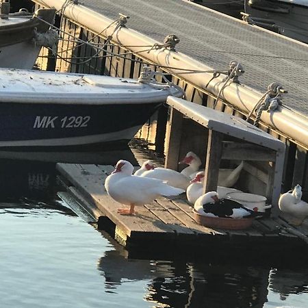 Apartment Aquamarin, Blizu Mora S Pogledom Na More, Za Do 6 Osoba Malinska Kültér fotó