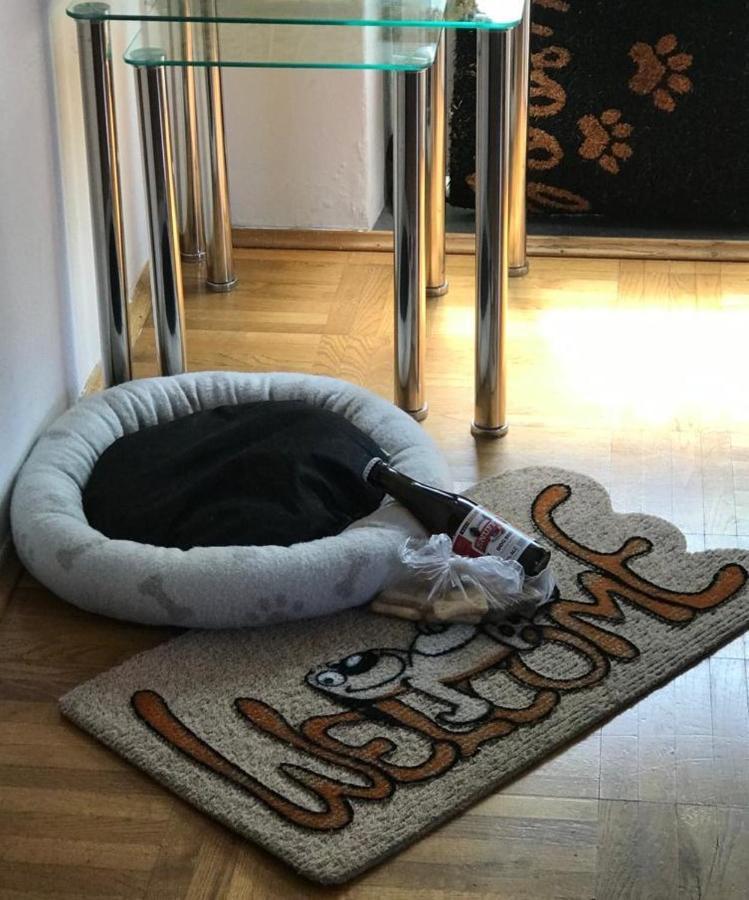 Apartment Aquamarin, Blizu Mora S Pogledom Na More, Za Do 6 Osoba Malinska Kültér fotó