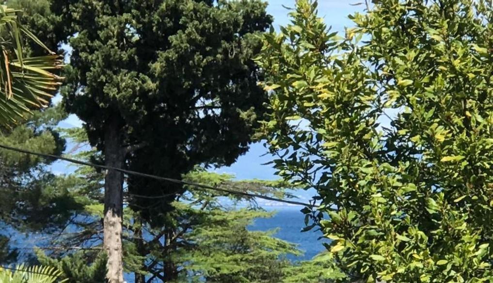 Apartment Aquamarin, Blizu Mora S Pogledom Na More, Za Do 6 Osoba Malinska Kültér fotó